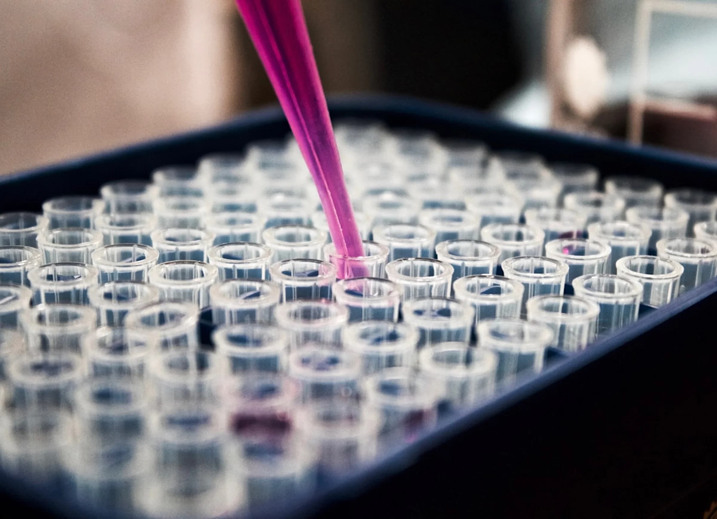 Germany as a global innovation hub with research opportunities and leading companies