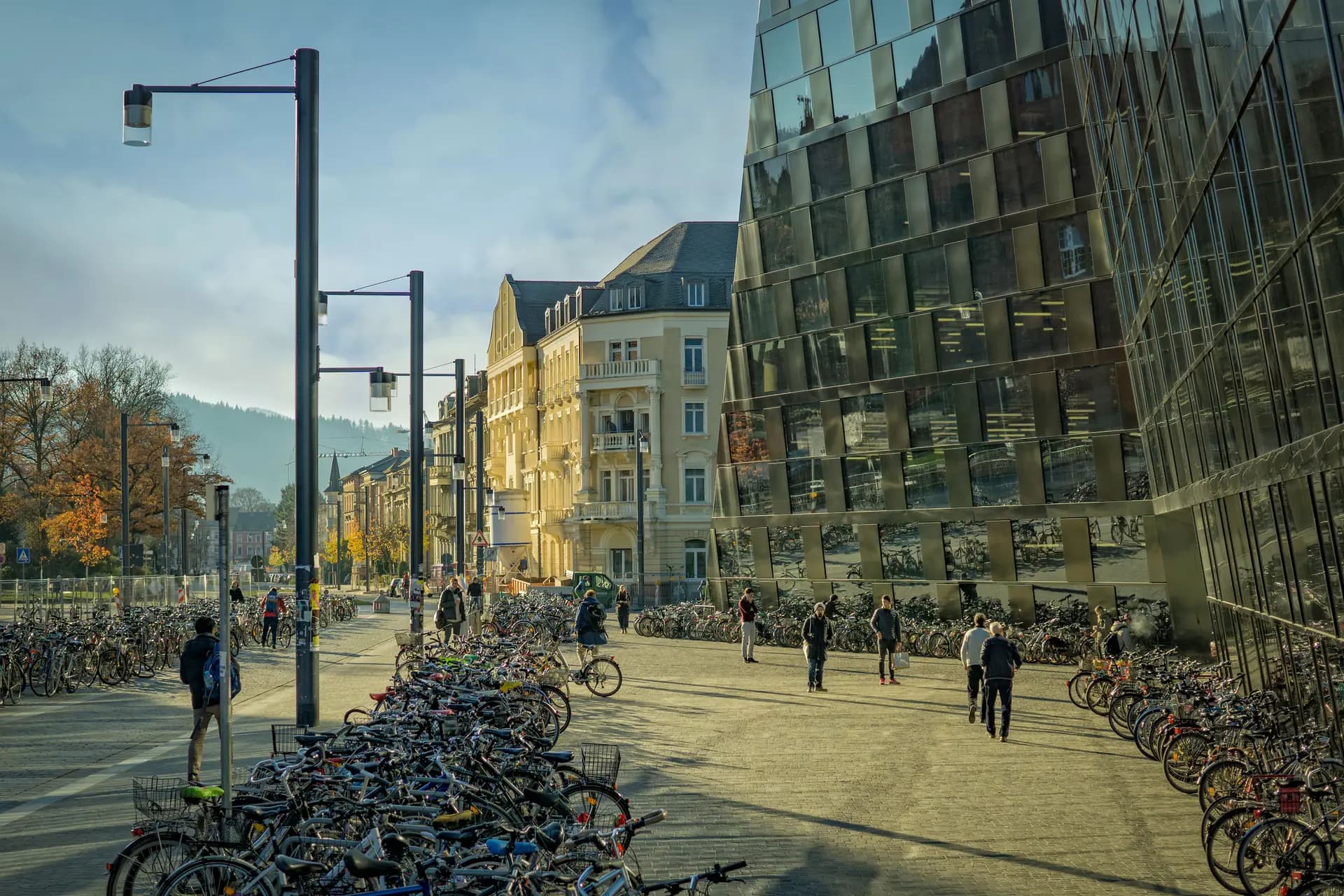 University street with bicycles and a modern glass building