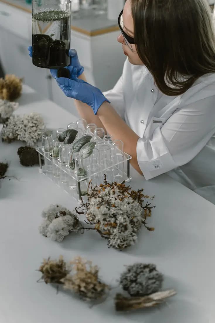 Scientist examining environmental samples in a lab