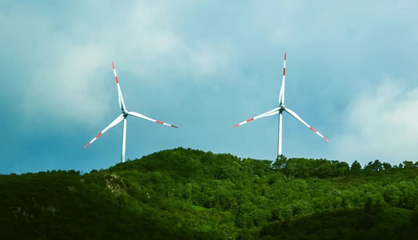 Renewable Energy and Environmental Science courses in Germany